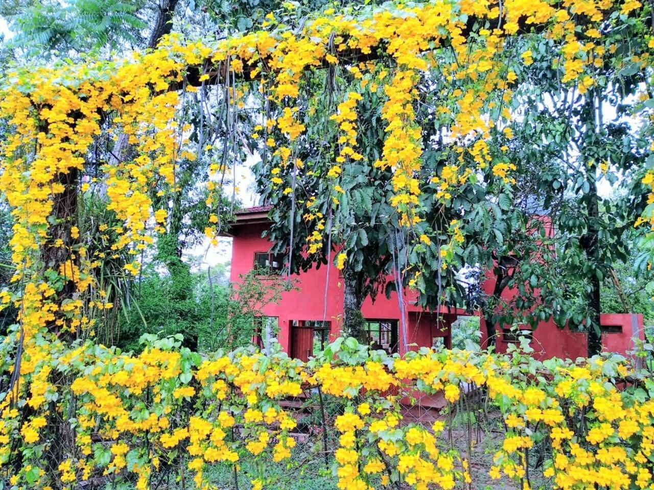 Nativa Iguazu Porto Iguaçu Exterior foto